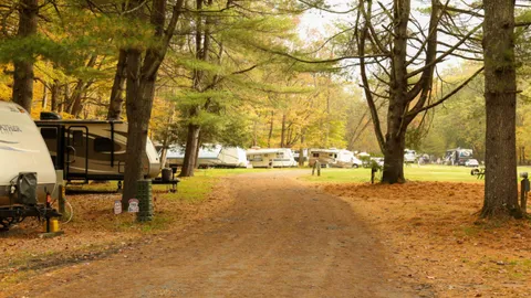 Openwoods RV Village: 50-AMP Full Hook Up, Back-in — image 1 of 3