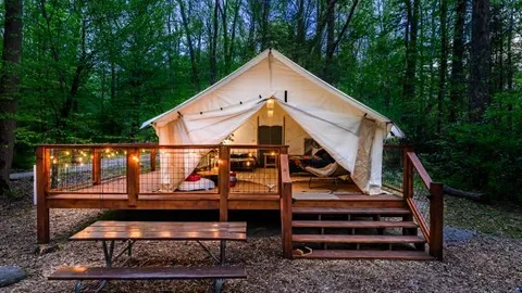 Deluxe Luna Bear Tent — image 2 of 10