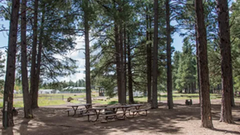 No Hookup RV Site — image 3 of 3
