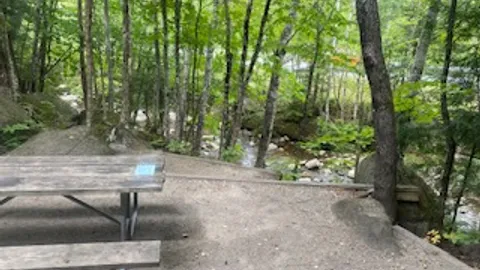 Cabin- One Room, Brook Front — image 4 of 4
