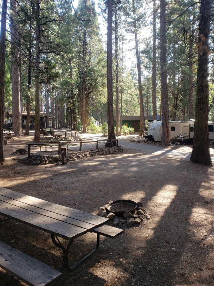 Golden Pines RV Resort, Arnold, California - Photo 4