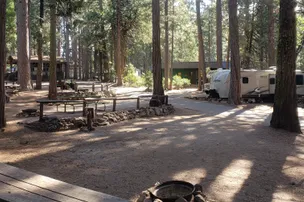 Golden Pines RV Resort – photo 4