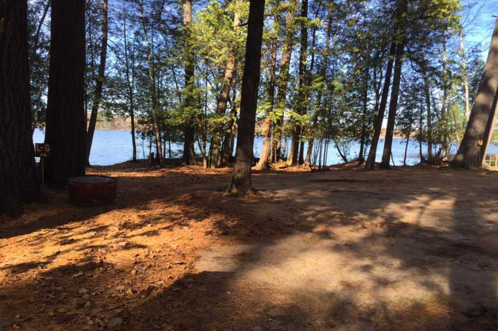 Bear Lake Campground Manawa, Wisconsin Campspot
