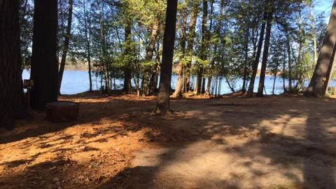 Lakefront Campsite — image 1 of 2