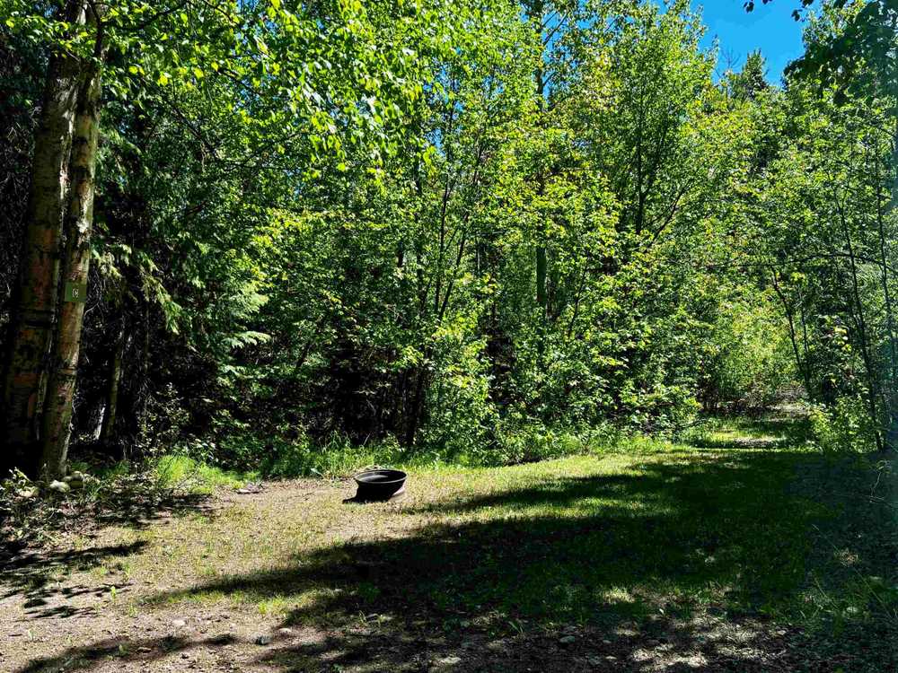 Swift Creek Resort, Valemount, British Columbia - Photo 4