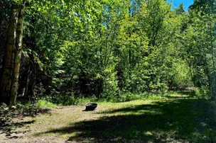 Swift Creek Resort – photo 4