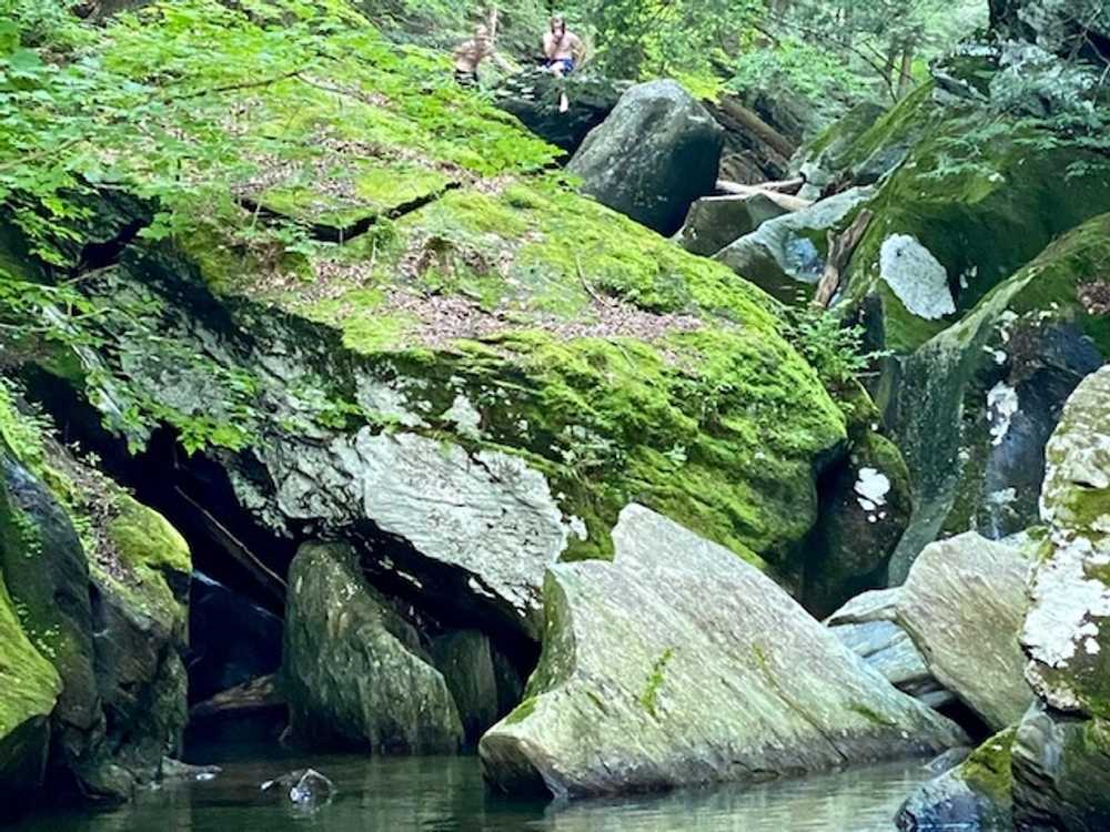 Park Image 11