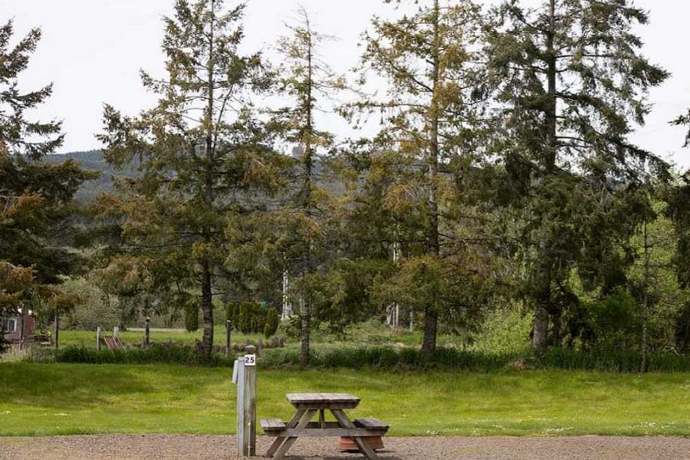 Tillamook Coast RV Park - Main Photo