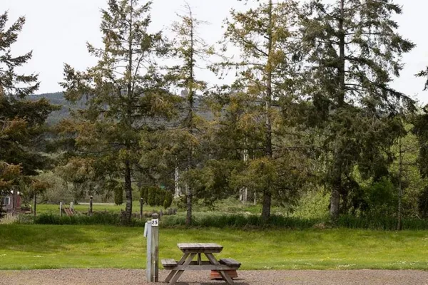 Tillamook Coast RV Park – photo 1