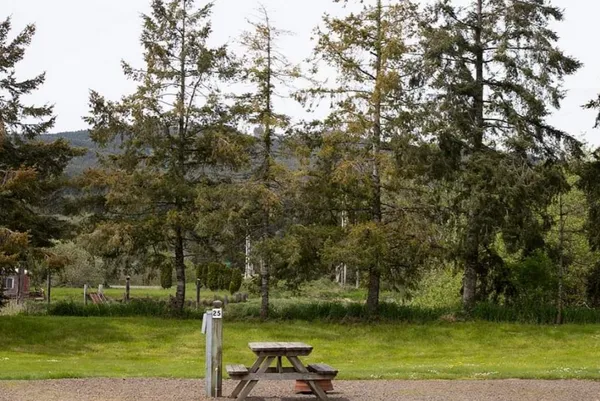 Tillamook Coast RV Park, Tillamook, Oregon campground