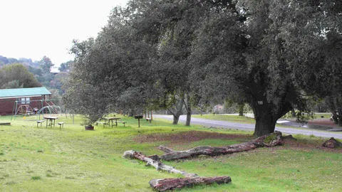 Primitive Group Tent Site — image 3 of 3