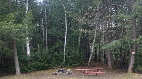 Partially Wooded Tent Site — image 4 of 4