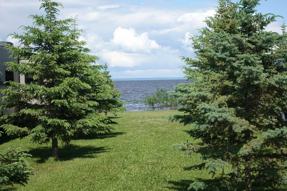 Park Image 9