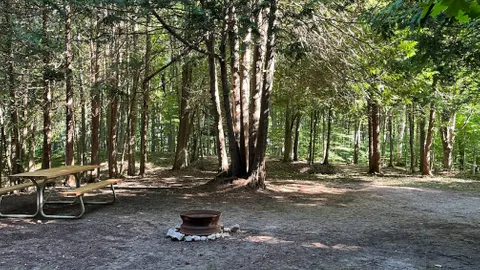 Timber Trail - Unserviced Site — image 6 of 6