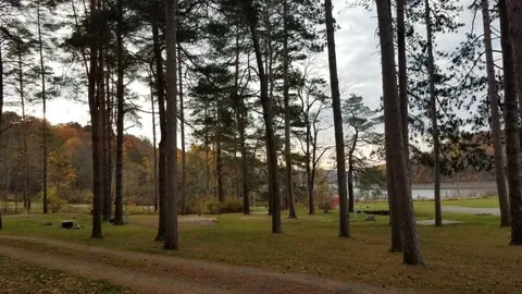 Seasonal, East Campsite — image 1 of 3
