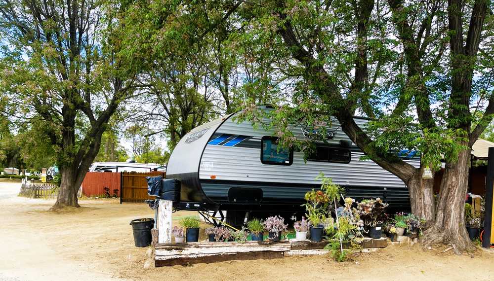 Palm View RV Resort - Photo 4