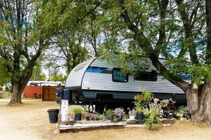 Palm View RV Resort – photo 4