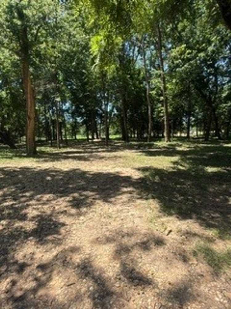 Park Image 6