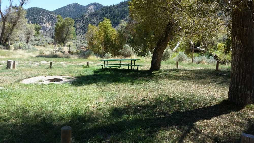 Nine Mile Ranch - Photo 4