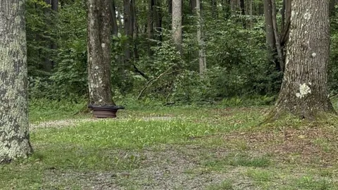 Medium Size Site 25'-28',  30 Amp W/E Back-in RV Site — image 1 of 1
