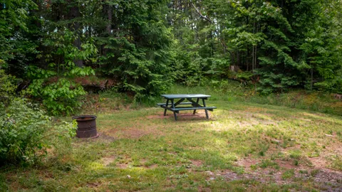 20 Amp Mill Hill — image 2 of 5