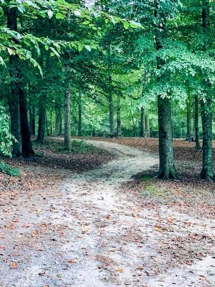 Park Image 5