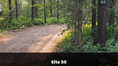Primitive Tent Site — image 4 of 4