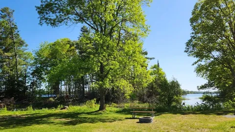 Rustic Campsite - Unserviced — image 6 of 6