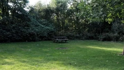 non-serviced lot — image 1 of 30