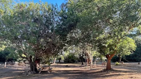 RV Site — image 1 of 5
