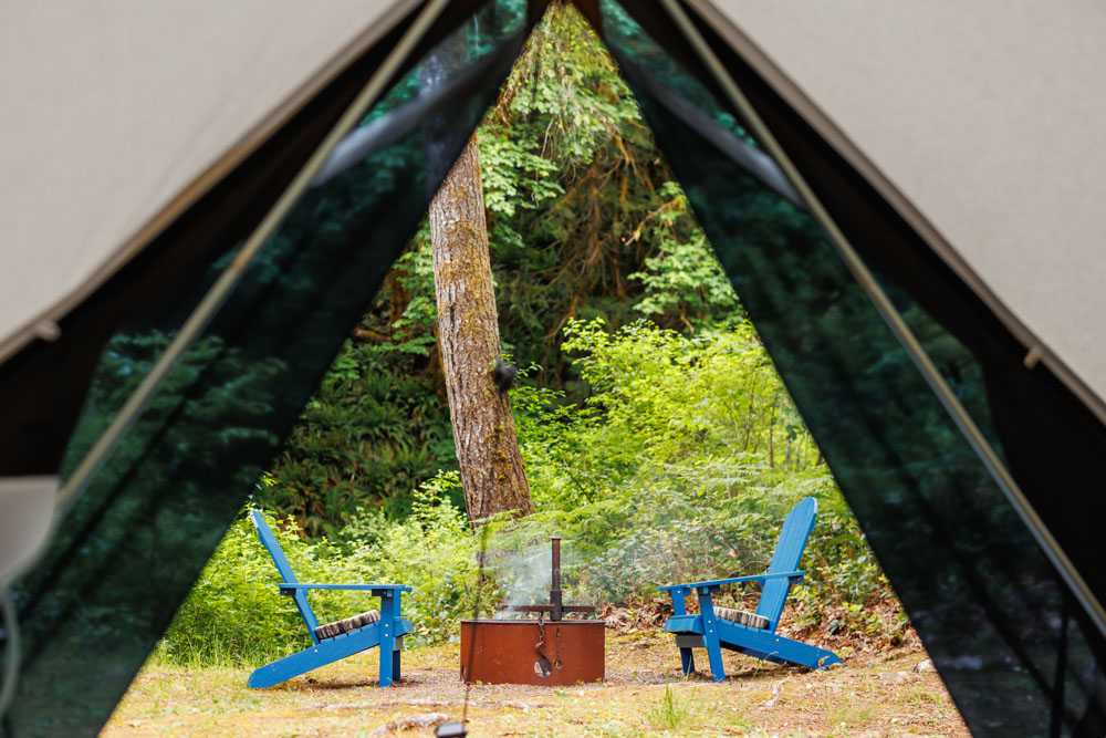 Creekside Retreat at Triangle Lake, Blachly, Oregon - Photo 3