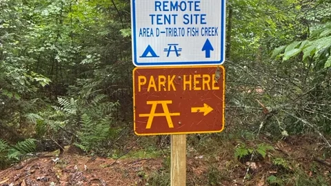 Remote Tent Site - Area D - Tributary to Fish Creek — image 2 of 3