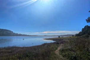 Whalen Island County Campground – photo 2