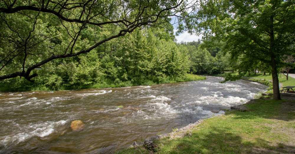 Yogi Bear's Jellystone Park™ Camp-Resort: Cherokee - Photo 4