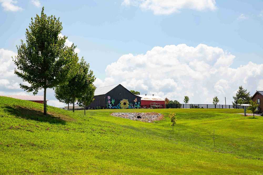 Park Image 17