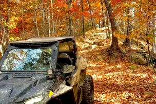 Hillbilly Rentals Campground - West Virginia – photo 4