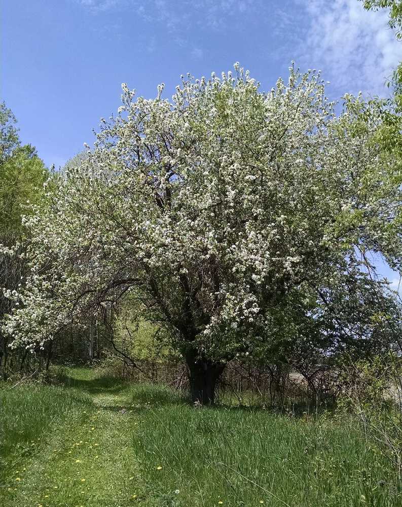 Twin Springs Campground - Photo 4