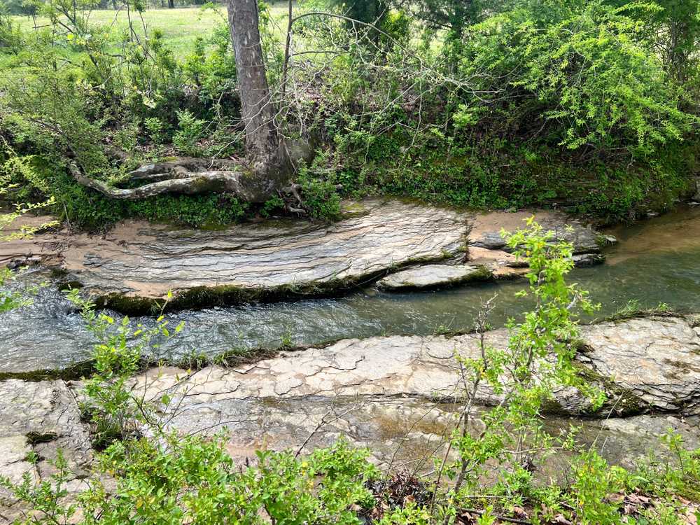 Lazy Acres RV Park, Fayette, Alabama - Photo 3