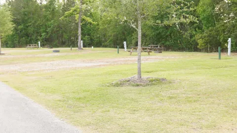 Back In Site — image 2 of 2
