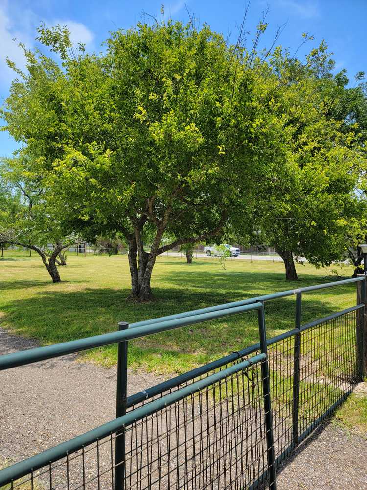 The Boat House RV Park, Aransas-Pass, Texas - Photo 3