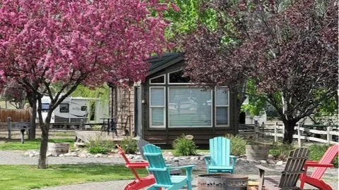 Deluxe Cabin - Pet Friendly - Park View — image 1 of 4