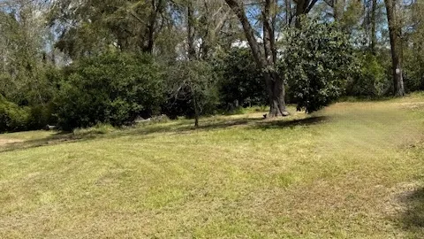 Boondocking Site — image 1 of 1