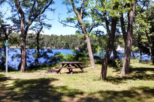 Tourist Park Campground – photo 2