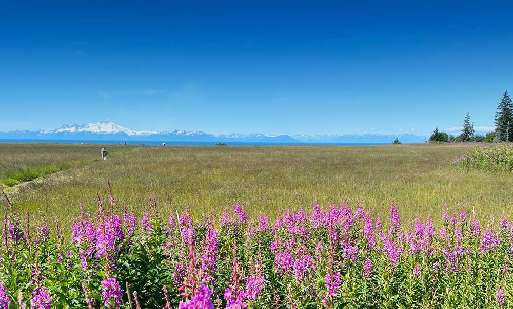 Blue Spruce Campground, Ninilchik, Alaska - Photo 5