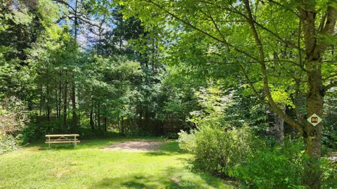 Deluxe TENT Sites — image 2 of 15