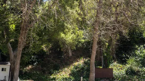 Camp Spot — image 12 of 12