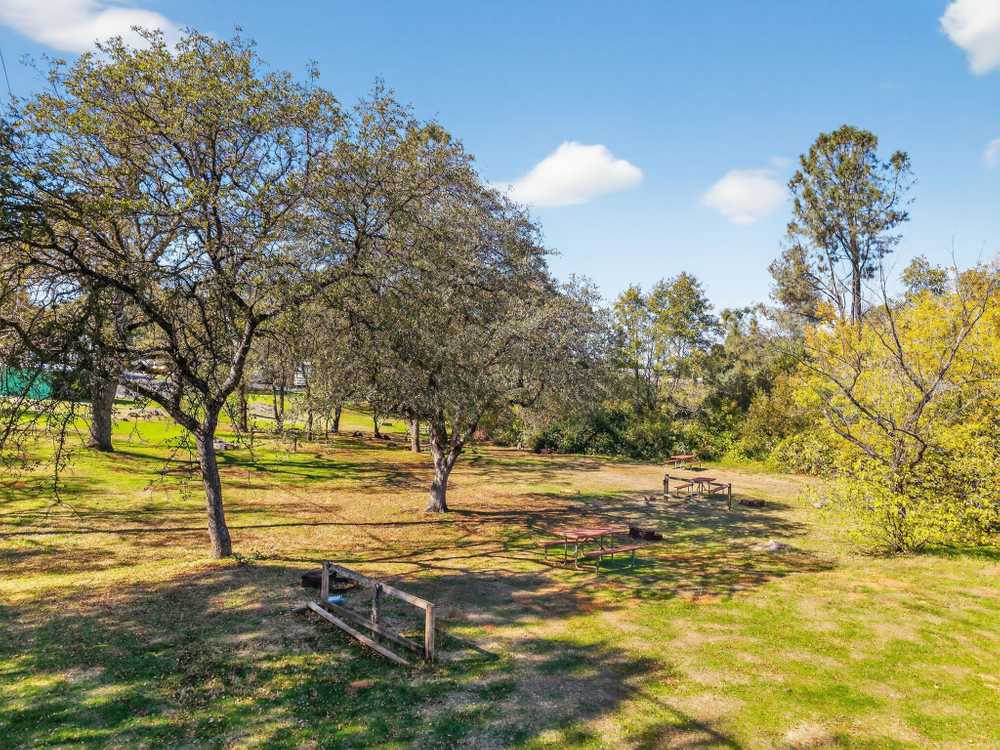 Park Image 15
