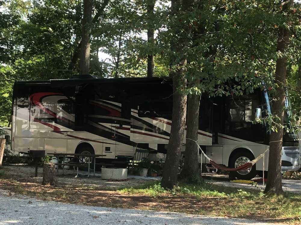Elite Back-In RV Site
