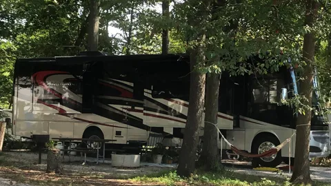 Elite Back-In RV Site — image 1 of 1