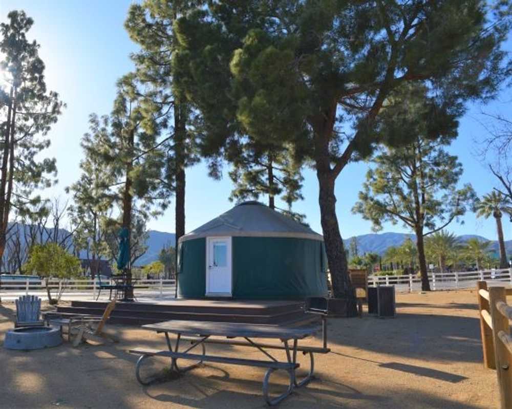 The Lodge Yurt
